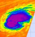 The Atmospheric Infrared Sounder instrument on NASA's Aqua satellite captured an infrared image of Hurricane Neki on October 22 at 2:59 a.m. local time. Infrared imagery revealed the deep convection in Neki's center and in the northeast quadrant of the storm. The coldest cloud tops are cold as or colder than 220K (Kelvin) or minus 63F. The blue areas are around 240K, or minus 27F.