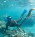 The Torres Strait Tropical Rock Lobster Fishery is one of more than 30 Australian fishing sectors to be assessed for its environmental impact using the Ecological Risk Assessment method.