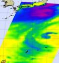 Microwave images are created when data from NASA's Aqua satellite AIRS and AMSU instruments are combined. The cold areas in this image (yellow-green) indicates where there is precipitation or ice in the cloud tops. This microwave image of Typhoon Mirinae suggests cold, high thunderstorms have developed and an eye is forming.