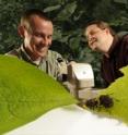 This is Scott Egan, left, and Daniel Funk with willow leaf beetle, left, and maple leaf beetle.