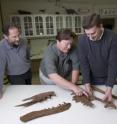 NIU's Reed Scherer (left to right), Mike Henderson and Joe Peterson examine Jane's upper jawbone at the Burpee Museum.