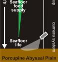 This is a schematic representation of the water column processes at the Porcupine Abyssal Plain-Sustained Observatory site.