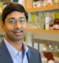 Ravi Bellamkonda, a professor in the Wallace H. Coulter Department of Biomedical Engineering at Georgia Tech and Emory University, developed an improved version of an enzyme that degrades the dense scar tissue that forms when the central nervous system is damaged.