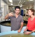 Here are Drs. Héctor Acosta-Salmón and Megan Davis, co-inventors, standing beside an aquaculture tank at Florida Atlantic University's Harbor Branch Oceanographic Institute. The queen conch is farmed in aquaculture tanks, and the queen conch cultured pearls in the initial harvest were grown in an aquaculture facility at HBOI. With less than two years of research and experimentation, these scientists have produced more than 200 cultured pearls using the techniques they developed.
