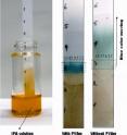 An experimental test strip shows a visible color change indicating the presence of pesticides in a test sample. In the future, similar strips may help detect these hidden toxins in foods and beverages. An experimental test strip shows a visible color change indicating the presence of pesticides in a test sample. In the future, similar strips may help detect these hidden toxins in foods and beverages.