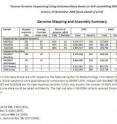 This summary table identifies variations with respect to the National Center for Biotechnology Information (NCBI) version 36 human genome reference assembly. Novel variations were ascertained by comparison to dbSNP (JDW, release 126; NA18507 [Bentley], release 128; all other genomes, release 129). NA18507 and NA19240 are Yoruban HapMap samples, which may explain the number of SNPs and novelty rates. In partially called regions of the genome, only one allele could be called confidently. The high call rate in NA19240 reflects reduced library bias with a modified sample preparation protocol.