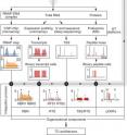 The flow chart above shows how UCSD bioengineers used high-throughput data generated from cells grown under different conditions to form the basis for elucidation of the transcription unit architecture of the <i>E. coli</i> genome.