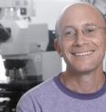 This is Dr. Yuval Dor of the Hebrew University of Jerusalem, a researcher on genetic aspects of insulin production. This is Dr. Yuval Dor of the Hebrew University of Jerusalem, a researcher on genetic aspects of insulin production.