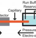 The NIST GEMBE microfluidic sample analysis system is shown schematically.