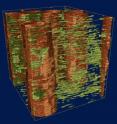 The GPU cluster will be able to speed up the reconstruction of 3-D images, such as this wood microstructure created from many 2-D images.