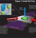This is the first figure to accompany the Joint Quantum Institute press release about synthetic magnetism. This is the first figure to accompany the Joint Quantum Institute press release about synthetic magnetism.