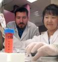 Dave Buchholz and Sherry Hikita stand in the Stem Cell Lab at University of California - Santa Barbara.
