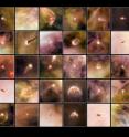 This atlas features 30 proplyds, or protoplanetary discs, that were recently discovered in the majestic Orion Nebula. Using the wide field channel on Hubble’s Advanced Camera for Surveys, astronomers discovered a total of 42 new discs that could be the seeds of planetary systems to come.