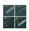 These are photons imaged in nanoscale structures (carbon nanotubes) using pulsed electrons at very high speed. Shown are the evanescent fields for two time frames and for two polarizations.