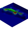 Scientists at Brown University and the California Institute of Technology have for the first time tracked how cells move by measuring the force exerted by them on their surroundings. The method could lead to better understanding how healthy cells differ from malignant cells.