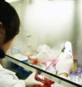 UAB Research Associate Yuanyuan Li, Ph.d., M.D., works in her biology laboratory.