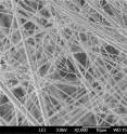 The nanofibers (and micro) of glass fiber laser produced are used for bone tissue regeneration.
