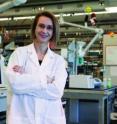 Karin Sauer, associate professor of biology at Binghamton University, has identified three key regulators required for the formation and development of biofilms. The discovery could lead to new ways of treating chronic infections.