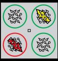 During the motion discrimination task the test subjects had to fixate their gaze at the square in the middle while reporting the direction of movement in the red circle. During the motion discrimination task the test subjects had to fixate their gaze at the square in the middle while reporting the direction of movement in the red circle.
