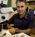 This is University of Cincinnati evolutionary biologist Michal Polak.
