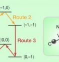 Driving a qubit along a longer quantum path (routes 2 and 3) dramatically improves the signal quality over that achieved by following the shorter path (route 1). The research applies to information stored in qubits that consisted of Nitrogen-based defects in diamond, as schematically shown on the right. Driving a qubit along a longer quantum path (routes 2 and 3) dramatically improves the signal quality over that achieved by following the shorter path (route 1). The research applies to information stored in qubits that consisted of Nitrogen-based defects in diamond, as schematically shown on the right.