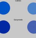 The movies show the effect of an outer solar system late heavy bombardment on the interior structure of Callisto (top) and Ganymede (bottom). The left hand side shows the surface of each moon as it suffers repeated impacts that melt its outer layers and clean out rock suspended in its ice. Colors indicate density, with black showing rock, blue showing mixed ice and rock, and lighter shades of blue indicating a decreasing rock fraction. The surfaces are initially blue, indicating a uniform ice/rock mixture. Over time, repeated overlapping impacts remove all of the rock from the moons’ outer layers. The right hand side shows a vertical slice through the spinning globe, allowing us to see the growth of the core (black). Each frame of the movie records 50 new impacts onto each moon. Callisto receives 2,600 impacts, but Ganymede receives 5,200. When the late heavy bombardment on Callisto is complete, the movie of Callisto stops, but Ganymede continues to experience an additional 2,600 impacts (so the movie of its evolution has more frames). The final frame of the movie shows the structure of the moons at the end of the late heavy bombardment. Note that Ganymede's rock core is significantly larger than the core created in Callisto.