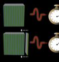 A single photon travels through alternating layers of low (blue) and high (green) refractive index material more slowly (top) or quickly (bottom) depending upon the order of the layers. A strategically placed additional layer (bottom) can dramatically reduce photon transit time.