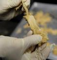The goal with the University of Missouri research is to create a product that has the same stringy texture as chicken.