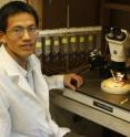 Researcher Guirong Wang sitting at the workstation where he tested the response of mosquito odorant receptors insert into frog eggs to a panel of 110 different odorants. Researcher Guirong Wang sitting at the workstation where he tested the response of mosquito odorant receptors insert into frog eggs to a panel of 110 different odorants.
