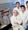 Eric Oldfield (seated) professor of chemistry with (clockwise from behind Oldfield) Jikun Li, graduate student; Yi-Liang Liu, graduate student; Weixue Wang, graduate student; and Ke Wang, postdoctoral researcher; developed a potent inhibitor to a chemical reaction that allows some disease-causing bacteria and the malaria parasite to survive.