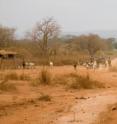 Global warming could cause crop shortages and increase food prices by 2030, say climate experts. That scenario could benefit self-employed farmers in developing countries and drive urban residents deeper into poverty. Global warming could cause crop shortages and increase food prices by 2030, say climate experts. That scenario could benefit self-employed farmers in developing countries and drive urban residents deeper into poverty.
