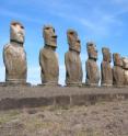 These Easter Island monoliths have endured for centuries. New research from the UT Health Science Center San Antonio shows that rapamycin, a compound discovered in the island's soil, rescued learning and memory in mice with Alzheimer's disease-like deficits.