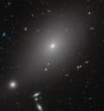 This image from the Advanced Camera for Surveys aboard the NASA/ESA Hubble Space Telescope highlights the large and bright elliptical galaxy called ESO 306-17 in the southern sky.

In this image, it appears that ESO 306-17 is surrounded by other galaxies but the bright galaxies at bottom left are thought to be in the foreground, not at the same distance in the sky. In reality, ESO 306-17 lies fairly abandoned in an enormous sea of dark matter and hot gas.

Researchers are also using this image to search for nearby ultra-compact dwarf galaxies. Ultra-compact dwarfs are mini versions of dwarf galaxies that have been left with only their core due to interaction with larger, more powerful galaxies. Most ultra-compact dwarfs discovered to date are located near giant elliptical galaxies in large clusters of galaxies, so it will be interesting to see if researchers find similar objects in fossil groups.