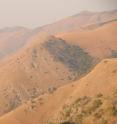 The Barberton Mountain Land, South Africa, is the site yielding data on the ancient magnetic field.