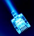Pictured is a network connector (blue).