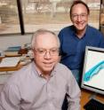 Founder Professor of Engineering Steve Granick, right, led the research team that included materials science and engineering professor Kenneth Schweizer to a better understanding of the conga dance inside a cell.