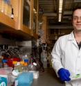 Kristopher Kilian, National Institutes of Health Postdoctoral Fellow at the University of Chicago, and his associates are using shape to control stem-cell development. Their article on the method appears in the March 1 Early Edition of the <i>Proceedings of the National Academy of Sciences</i>.