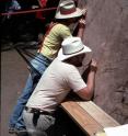 Researchers Peter Brown and Tom Swetnam dating the tree-rings and fire scars on a cross-section of a giant sequoia tree displayed near the General Sherman Tree in Sequoia National Park.