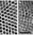 These transmission electron microscope images show (a) the original nanorod array of cadmium sulfide and (b) a composite made from cadmium sulfide and the chalcogenide copper sulfide. In the composite, nanoparticle ordering is maintained but spacing between the particles decreases. These transmission electron microscope images show (a) the original nanorod array of cadmium sulfide and (b) a composite made from cadmium sulfide and the chalcogenide copper sulfide. In the composite, nanoparticle ordering is maintained but spacing between the particles decreases.