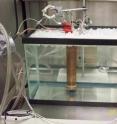 A new "calorimeter," shown immersed in this water bath, provides the first inexpensive means of identifying the hallmark of cold fusion reactions: the production of excess heat.