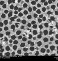 This scanning electron micrograph was obtained from a zinc oxide-coated nanoporous alumina membrane.