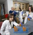 A Princeton University research team, including (from left) undergraduate Elyse Powell, psychology professor Bart Hoebel, visiting research associate Nicole Avena and graduate student Miriam Bocarsly, has demonstrated that rats with access to high-fructose corn syrup -- a sweetener found in many popular sodas -- gain significantly more weight than those with access to water sweetened with table sugar, even when they consume the same number of calories. The work may have important implications for understanding obesity trends in the United States.