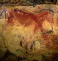 A horse was painted on the polychrome ceiling of the cave of Altamira. This is from the Magdalenian era.