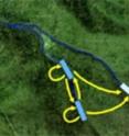 This is an illustration of the movement ecology of the salamanders in the three stream segments. Each of these arrows illustrates a different movement that a salamander could possibly make. This is an illustration of the movement ecology of the salamanders in the three stream segments. Each of these arrows illustrates a different movement that a salamander could possibly make.