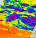 This is an infrared satellite image of Paul's cold thunderstorm tops (purple=coldest, highest) from March 29 at 16:35 UTC, when he was making landfall. Now, Paul has been downgraded to a low, and is almost in the same location, but exiting the mainland and headed back into the Gulf.