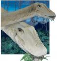 This is a <i>Diplodocus carnegii</i> adult and juvenile feeding.