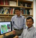 Pictured are Brown University engineering professor Huajian Gao, right, and engineering graduate student Xiaoyan Li.