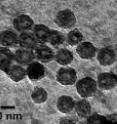 These are hollow or porous NiO nanoparticles of different sizes (6, 26, and 96 nm). These are hollow or porous NiO nanoparticles of different sizes (6, 26, and 96 nm).