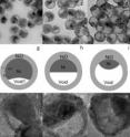 These images show 26 nm nanoparticles as the oxidation process progressed from 90-210 minutes at 300 °C. These images show 26 nm nanoparticles as the oxidation process progressed from 90-210 minutes at 300 °C.