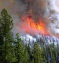 The 2006 Tripod Complex Fire in the North Cascades of Washington burned 175,000 acres, or nearly 275 square miles.